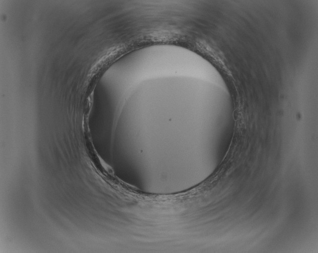 X0000067350019200604131802