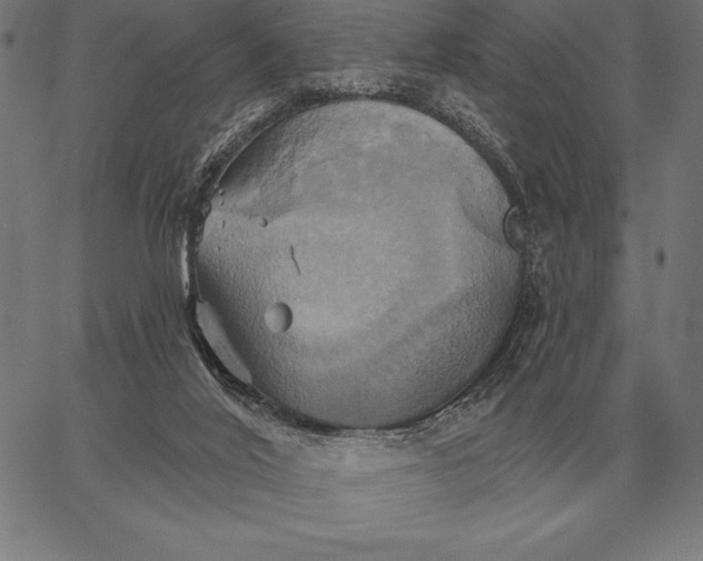 X0000067350020200604131802