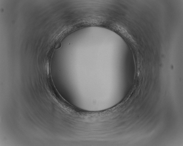 X0000067350021200604131802