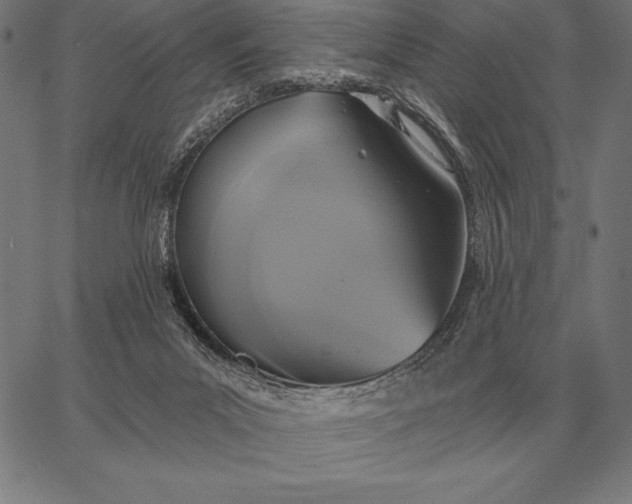 X0000067350023200604131802