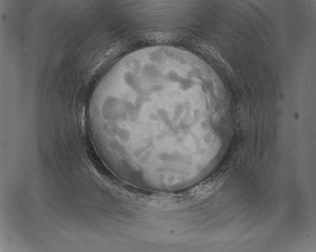 X0000067350024200604131802