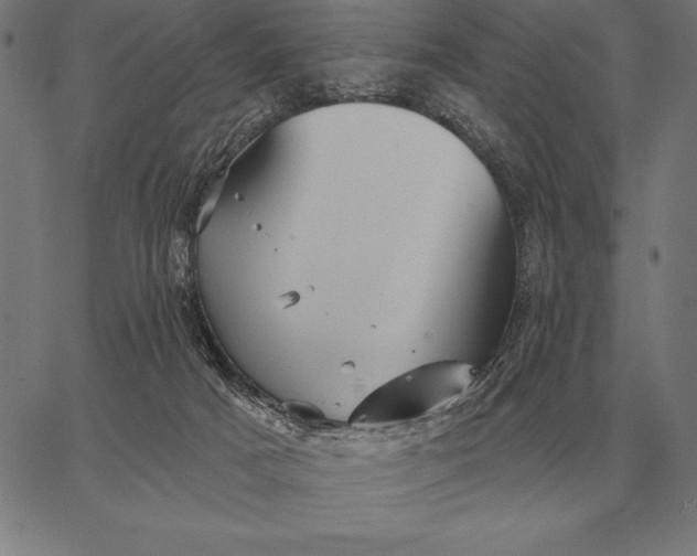 X0000067350025200604131802