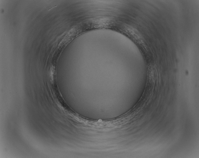 X0000067350026200604131802