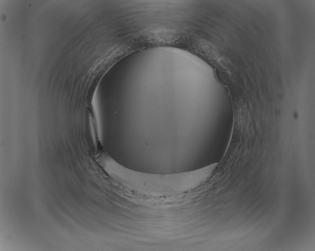 X0000067350027200604131802