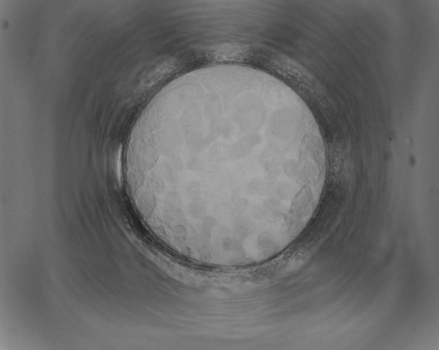 X0000067350028200604131802