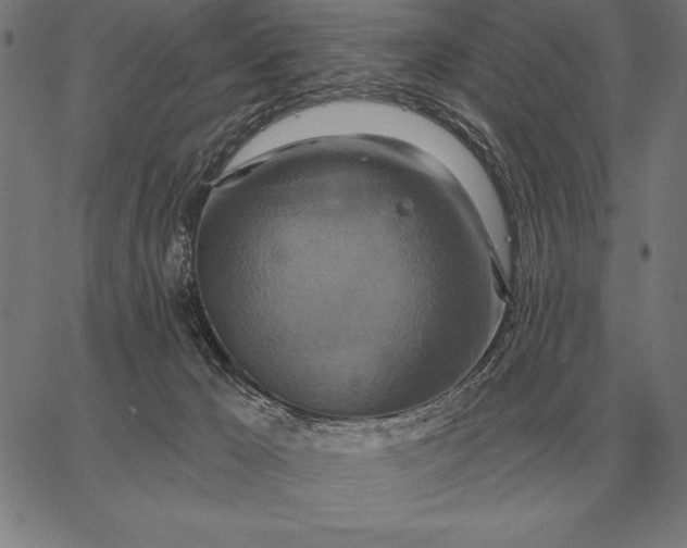 X0000067350029200604131802