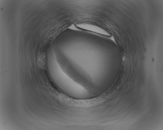 X0000067350030200604131802