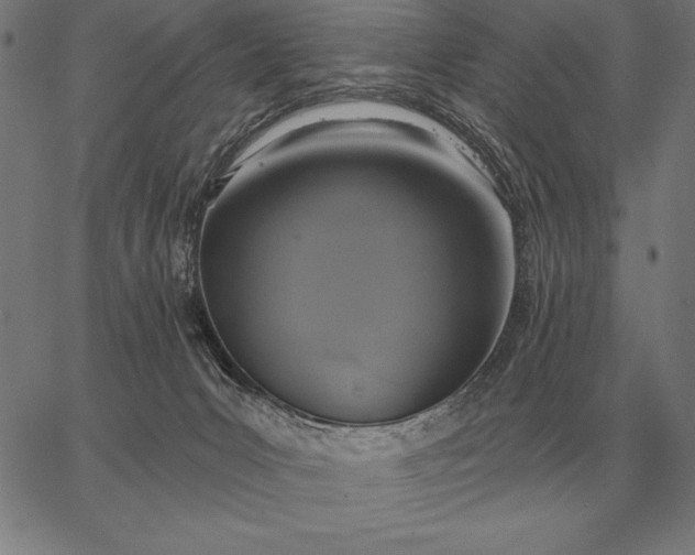 X0000067350031200604131802