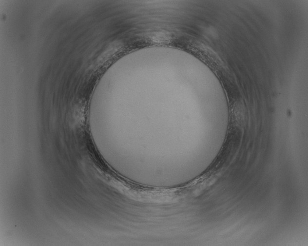 X0000067350032200604131802