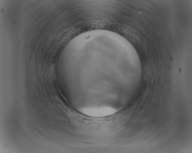 X0000067350034200604131802