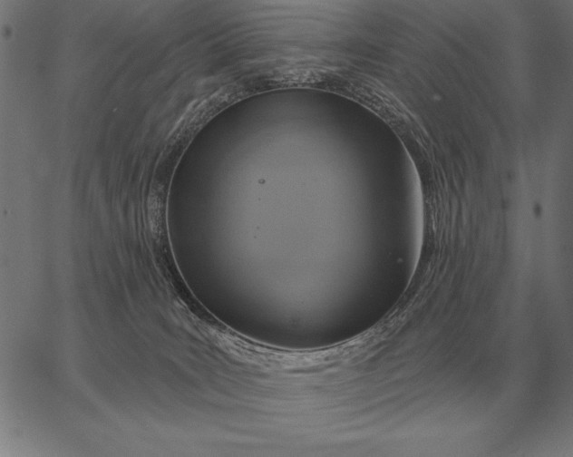 X0000067350035200604131802