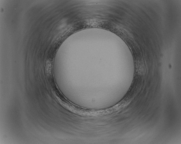 X0000067350036200604131802