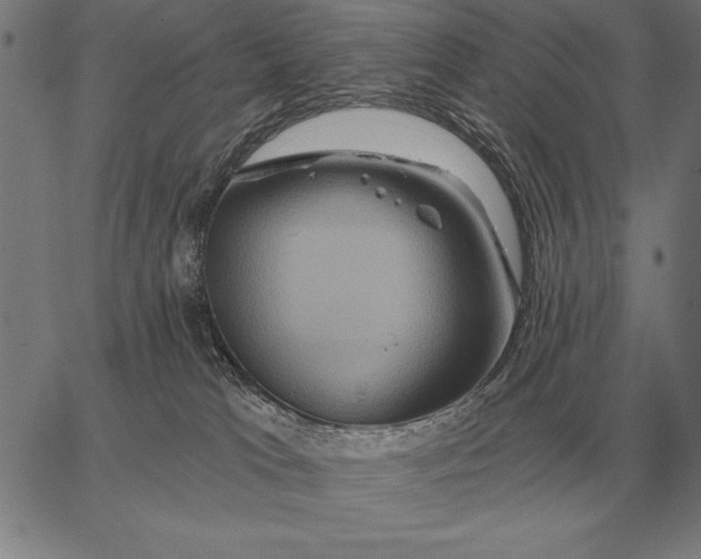 X0000067350037200604131802