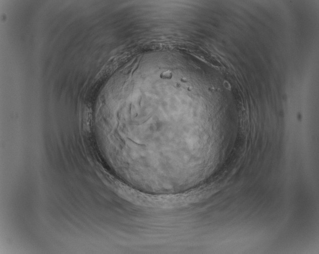 X0000067350038200604131802