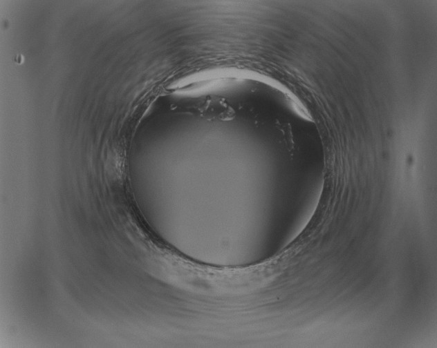 X0000067350039200604131802