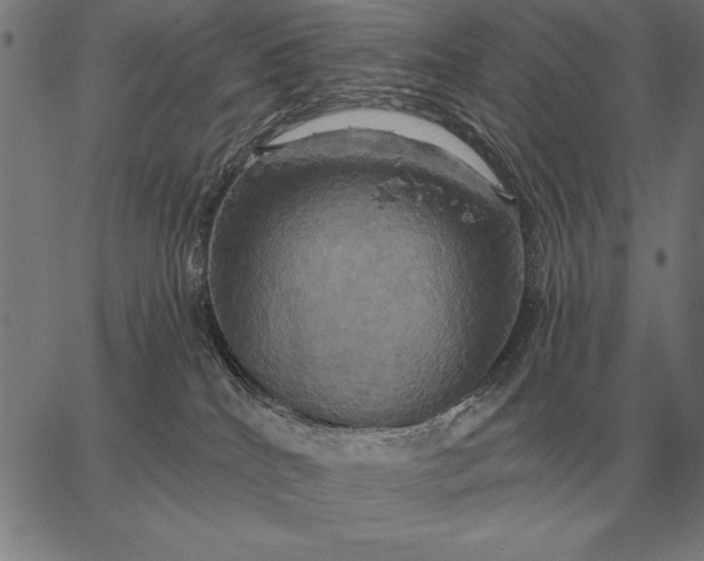 X0000067350040200604131802