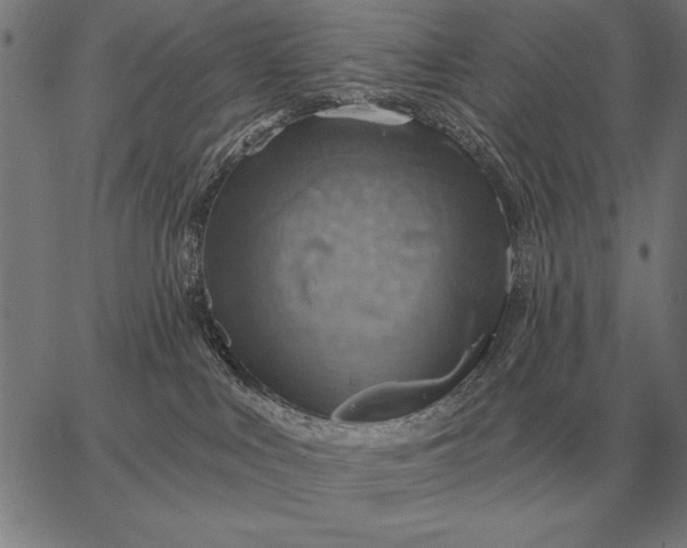 X0000067350043200604131801