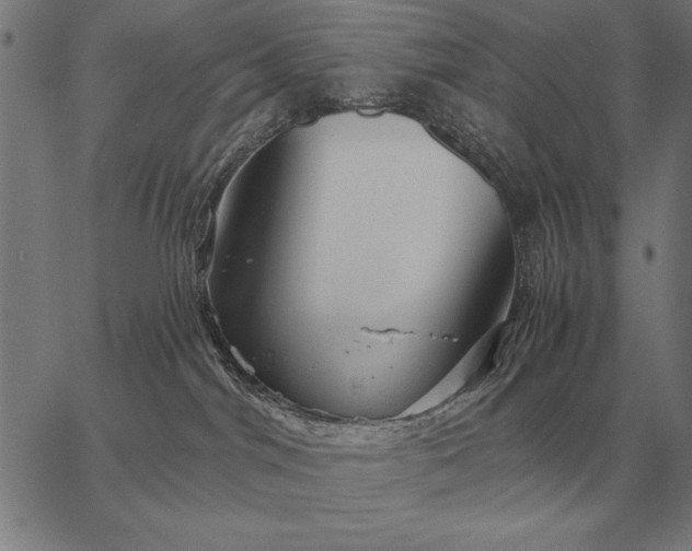 X0000067350044200604131801