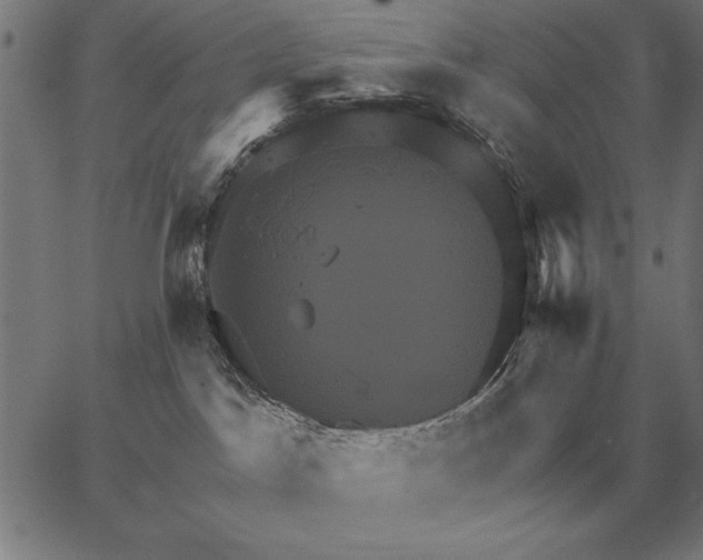 X0000067350045200604131801