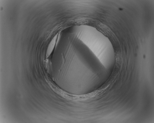 X0000067350046200604131801