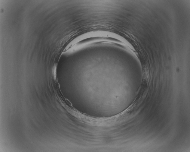 X0000067350047200604131801