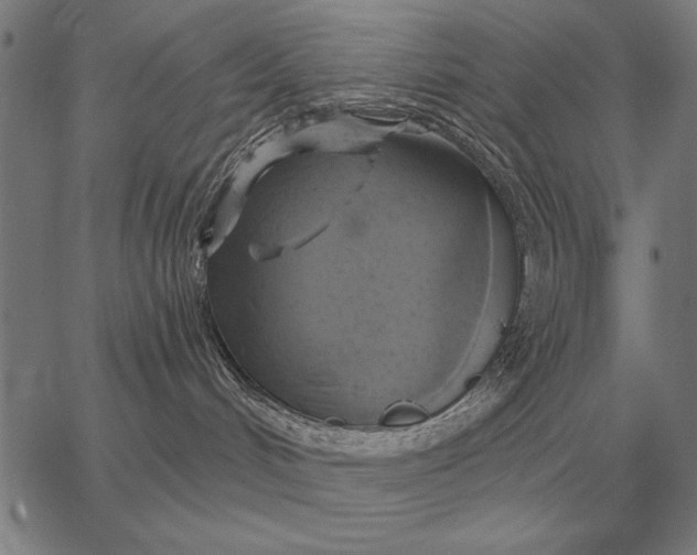 X0000067350048200604131801