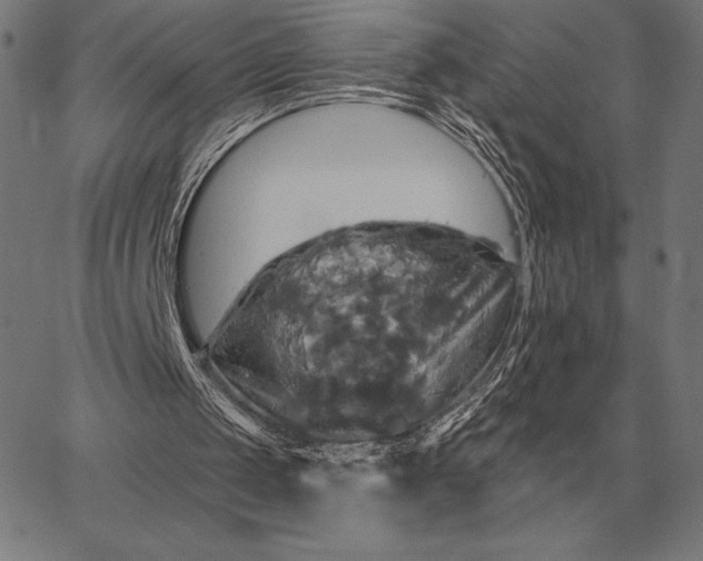 X0000067350049200604131801