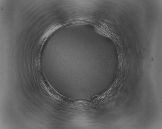 X0000067350050200604131801