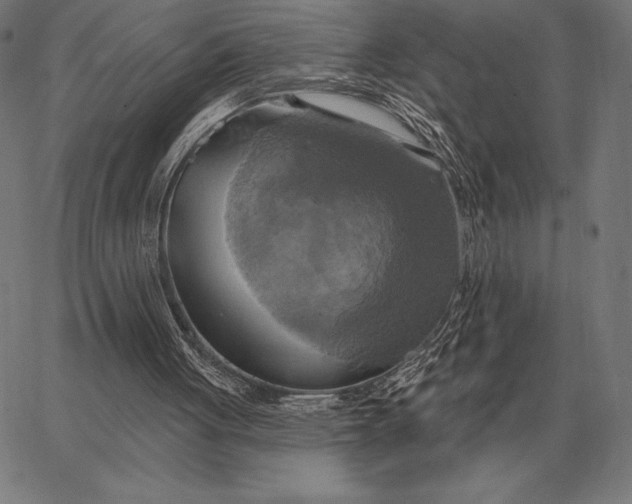 X0000067350051200604131801