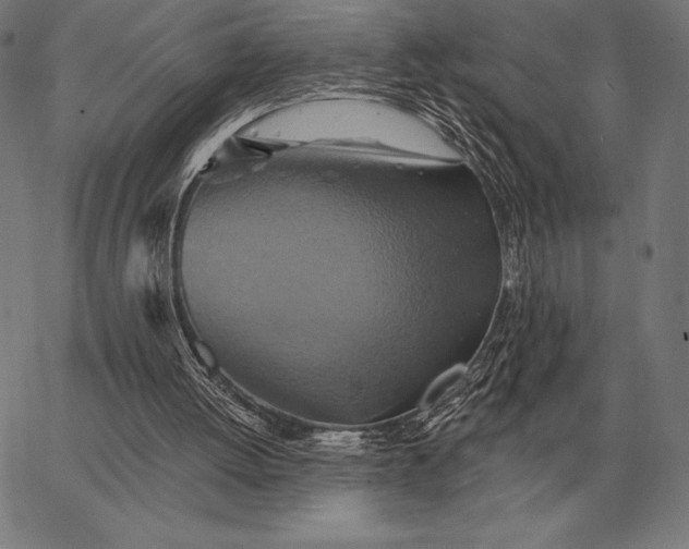 X0000067350052200604131801