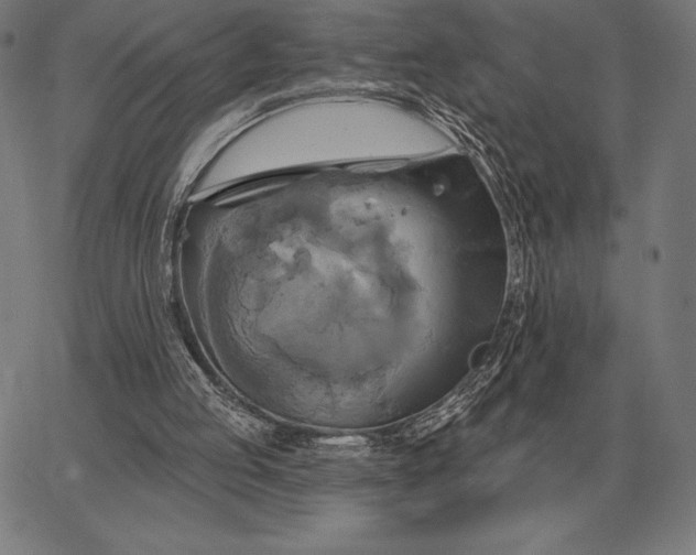 X0000067350053200604131801