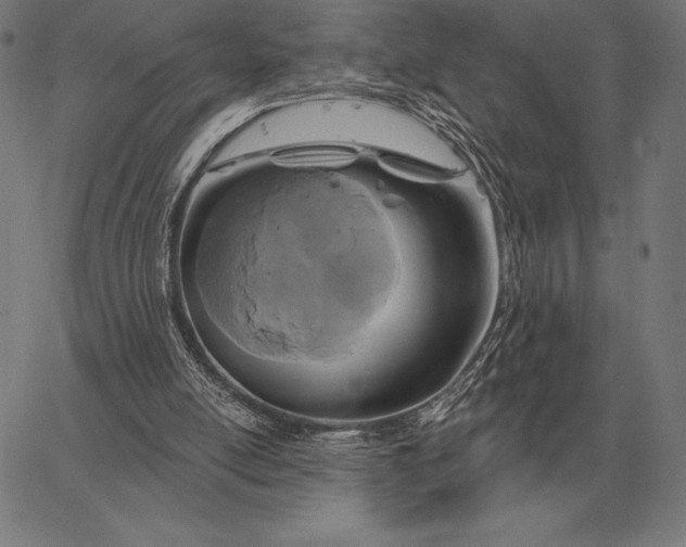 X0000067350054200604131801