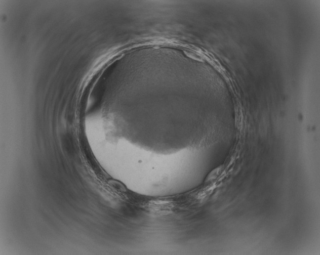 X0000067350055200604131801