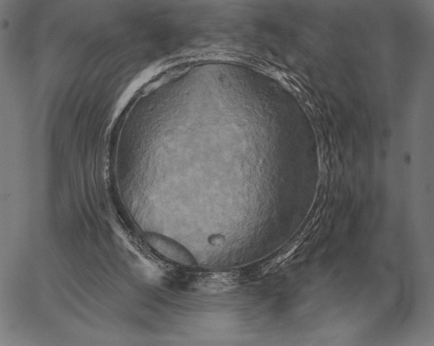 X0000067350056200604131801