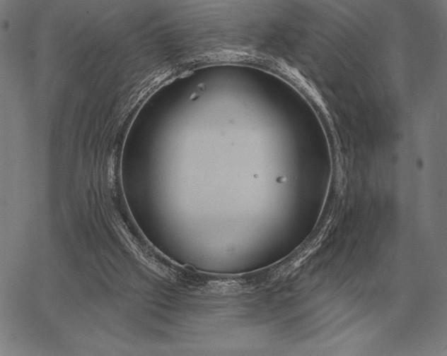 X0000067350057200604131801