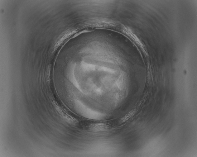 X0000067350058200604131801