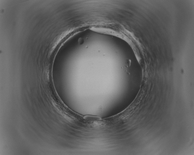 X0000067350060200604131801