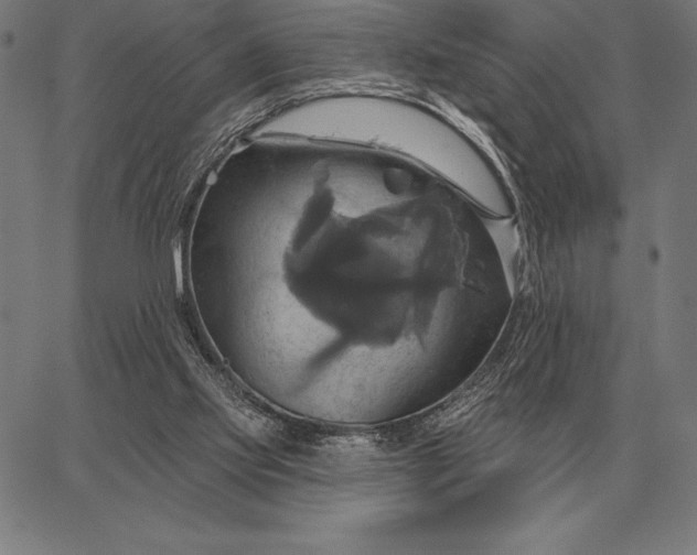 X0000067350061200604131801