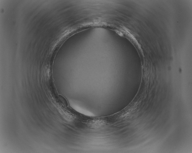 X0000067350063200604131801