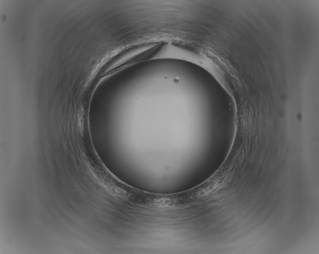 X0000067350064200604131801