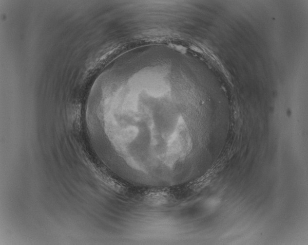 X0000067350066200604131801