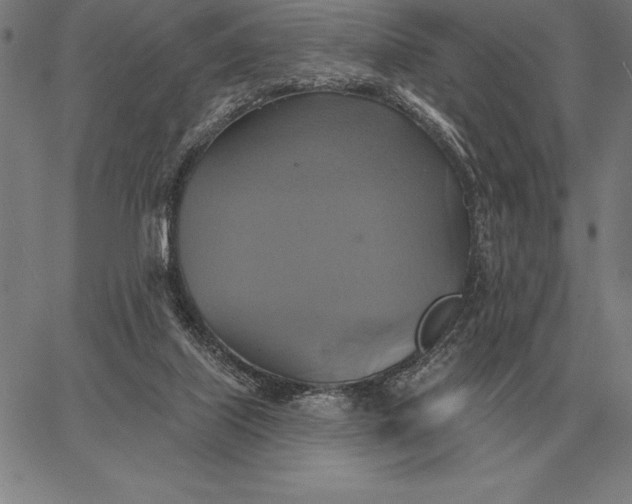 X0000067350067200604131801