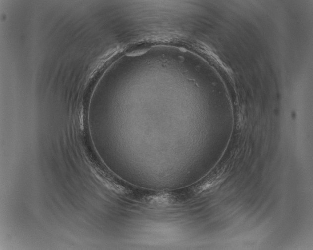 X0000067350068200604131801