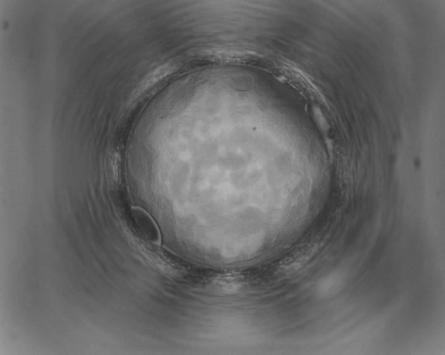 X0000067350071200604131801