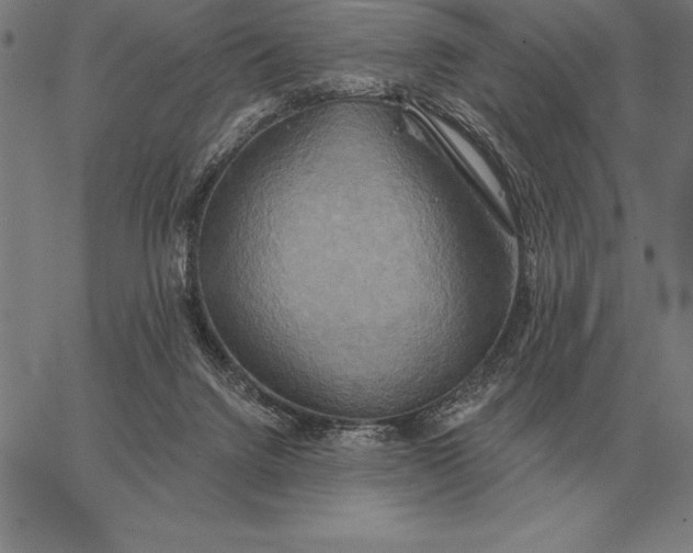 X0000067350072200604131801