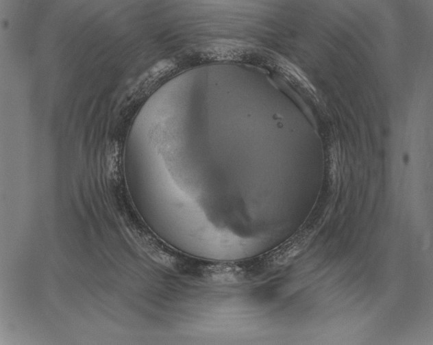 X0000067350073200604131801