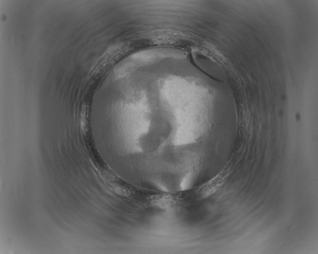 X0000067350074200604131801