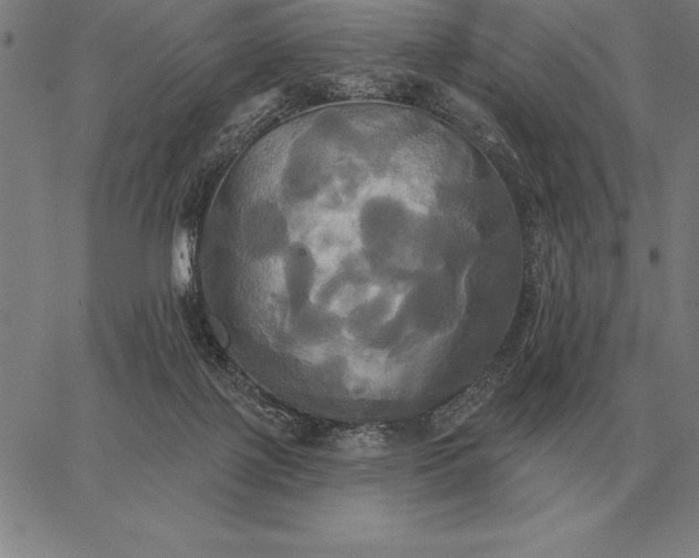 X0000067350075200604131801