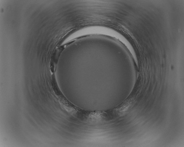 X0000067350076200604131801