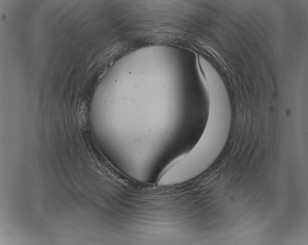 X0000067350077200604131801